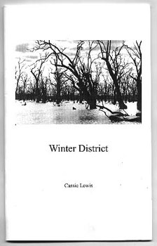 Cassie Lewis Book Cover